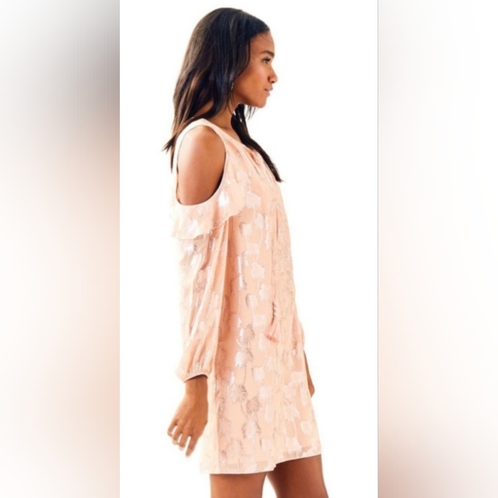 LILLY Pulitzer Marlyse Silk Dress - Picture 2 of 7